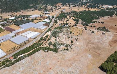 ANTALYA DEMRE YAVU'DA D-400'E KOMŞU, 23.013 m² YATIRIMLIK TARLA