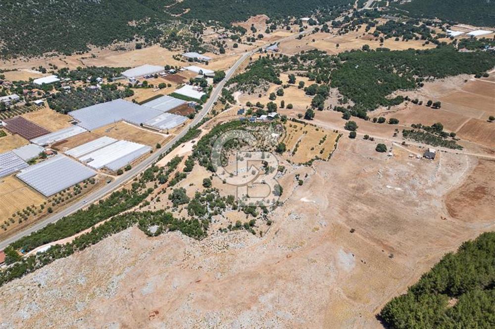 ANTALYA DEMRE YAVU'DA D-400'E KOMŞU, 23.013 m² YATIRIMLIK TARLA