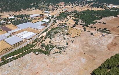 ANTALYA DEMRE YAVU'DA D-400'E KOMŞU, 23.013 m² YATIRIMLIK TARLA