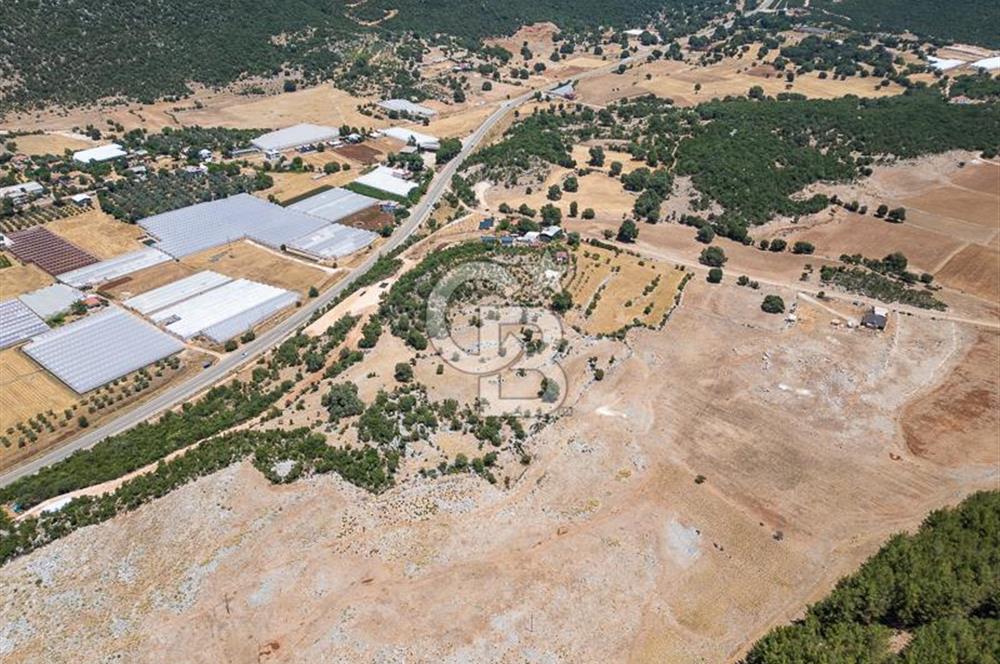 ANTALYA DEMRE YAVU'DA D-400'E KOMŞU, 23.013 m² YATIRIMLIK TARLA