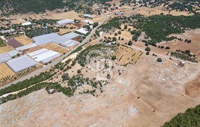 ANTALYA DEMRE YAVU'DA D-400'E KOMŞU, 23.013 m² YATIRIMLIK TARLA