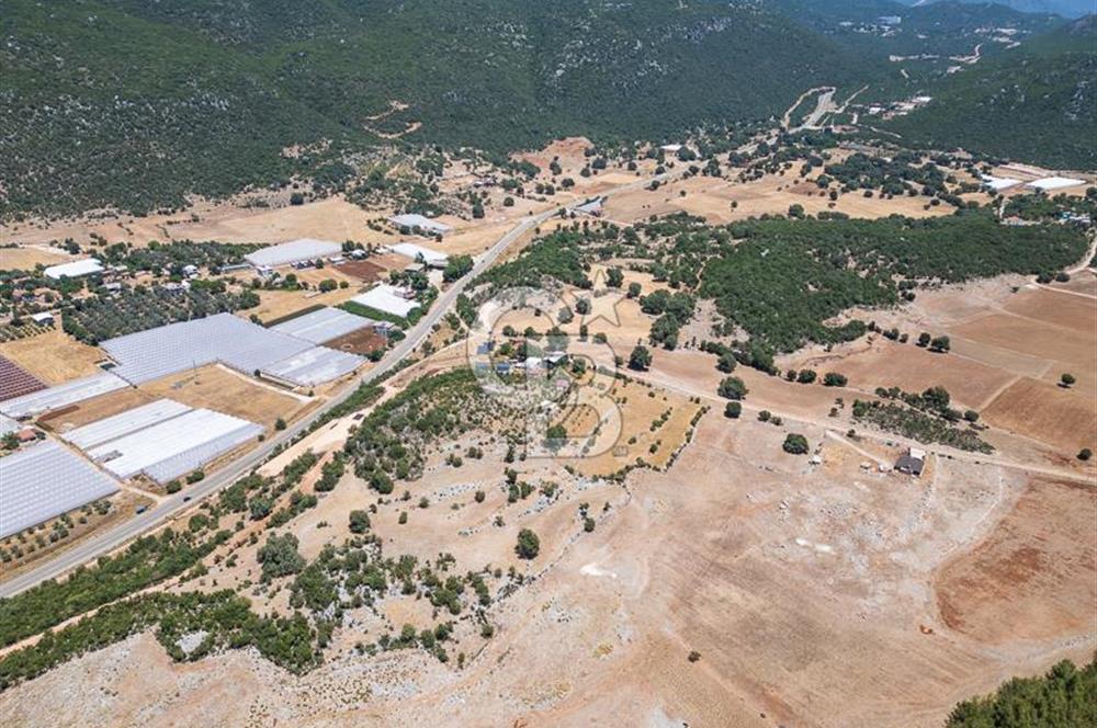 ANTALYA DEMRE YAVU'DA D-400'E KOMŞU, 23.013 m² YATIRIMLIK TARLA