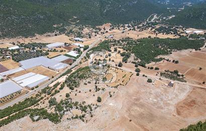ANTALYA DEMRE YAVU'DA D-400'E KOMŞU, 23.013 m² YATIRIMLIK TARLA
