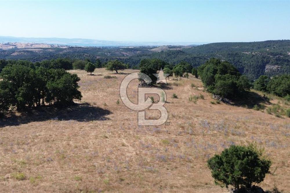 ÇANAKKALE LAPSEKİ KARAÖMERLER KÖYÜ SATILIK 5.3 DÖNÜM TARLA