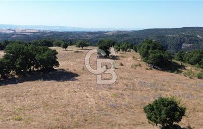 ÇANAKKALE LAPSEKİ KARAÖMERLER KÖYÜ SATILIK 5.3 DÖNÜM TARLA
