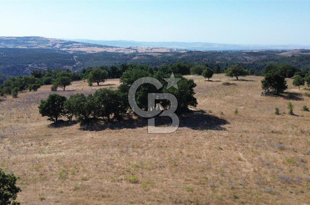 ÇANAKKALE LAPSEKİ KARAÖMERLER KÖYÜ SATILIK 5.3 DÖNÜM TARLA