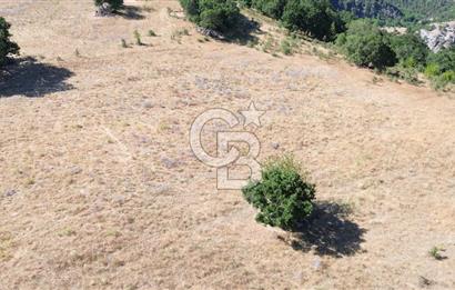 ÇANAKKALE LAPSEKİ KARAÖMERLER KÖYÜ SATILIK 5.3 DÖNÜM TARLA