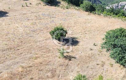 ÇANAKKALE LAPSEKİ KARAÖMERLER KÖYÜ SATILIK 5.3 DÖNÜM TARLA