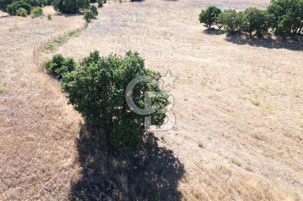 ÇANAKKALE LAPSEKİ KARAÖMERLER KÖYÜ SATILIK 5.3 DÖNÜM TARLA