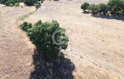 ÇANAKKALE LAPSEKİ KARAÖMERLER KÖYÜ SATILIK 5.3 DÖNÜM TARLA