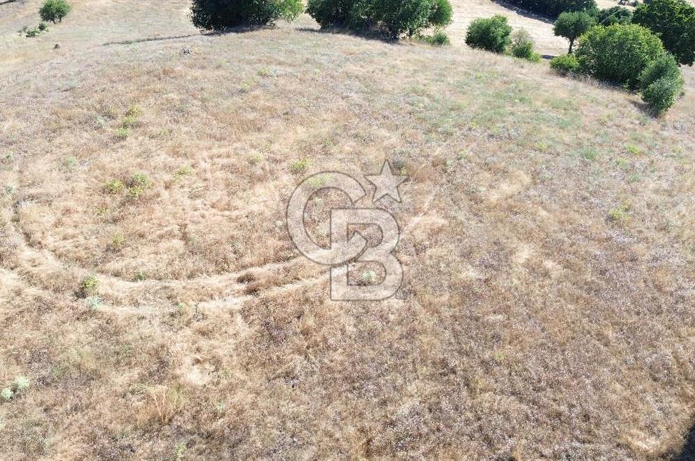 ÇANAKKALE LAPSEKİ KARAÖMERLER KÖYÜ SATILIK 5.3 DÖNÜM TARLA