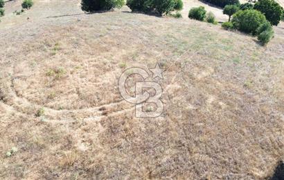 ÇANAKKALE LAPSEKİ KARAÖMERLER KÖYÜ SATILIK 5.3 DÖNÜM TARLA