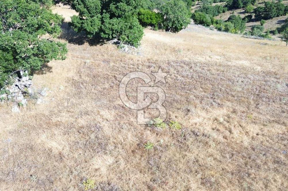 ÇANAKKALE LAPSEKİ KARAÖMERLER KÖYÜ SATILIK 5.3 DÖNÜM TARLA
