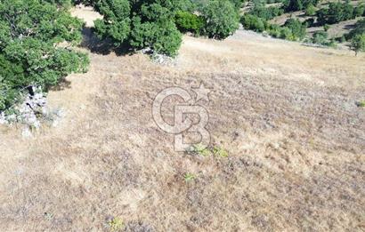 ÇANAKKALE LAPSEKİ KARAÖMERLER KÖYÜ SATILIK 5.3 DÖNÜM TARLA