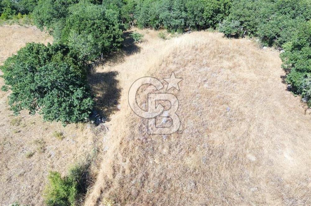 ÇANAKKALE LAPSEKİ KARAÖMERLER KÖYÜ SATILIK 5.3 DÖNÜM TARLA