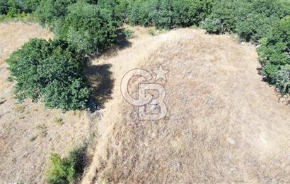 ÇANAKKALE LAPSEKİ KARAÖMERLER KÖYÜ SATILIK 5.3 DÖNÜM TARLA