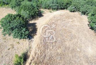 ÇANAKKALE LAPSEKİ KARAÖMERLER KÖYÜ SATILIK 5.3 DÖNÜM TARLA
