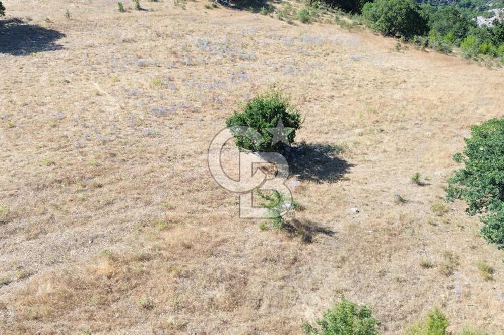 ÇANAKKALE LAPSEKİ KARAÖMERLER KÖYÜ SATILIK 5.3 DÖNÜM TARLA