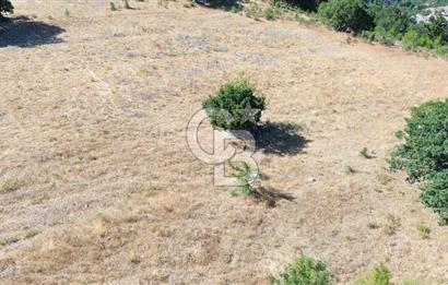 ÇANAKKALE LAPSEKİ KARAÖMERLER KÖYÜ SATILIK 5.3 DÖNÜM TARLA