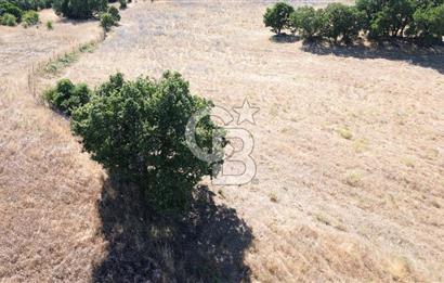 ÇANAKKALE LAPSEKİ KARAÖMERLER KÖYÜ SATILIK 5.3 DÖNÜM TARLA