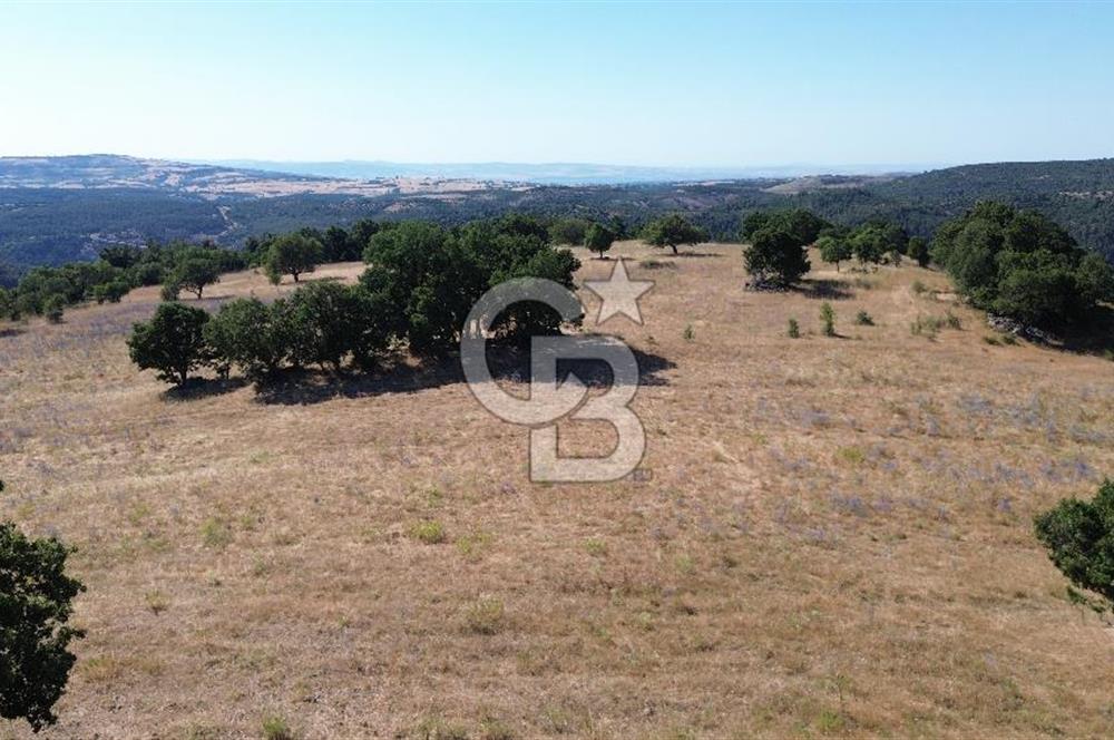 ÇANAKKALE LAPSEKİ KARAÖMERLER KÖYÜ SATILIK 5.3 DÖNÜM TARLA