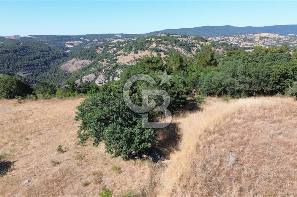 ÇANAKKALE LAPSEKİ KARAÖMERLER KÖYÜ SATILIK 5.3 DÖNÜM TARLA