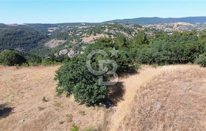 ÇANAKKALE LAPSEKİ KARAÖMERLER KÖYÜ SATILIK 5.3 DÖNÜM TARLA