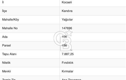 Kocaeli Kandıra Yağcılar'da 7.887 m² Fındıklık 150 Ağaçlı