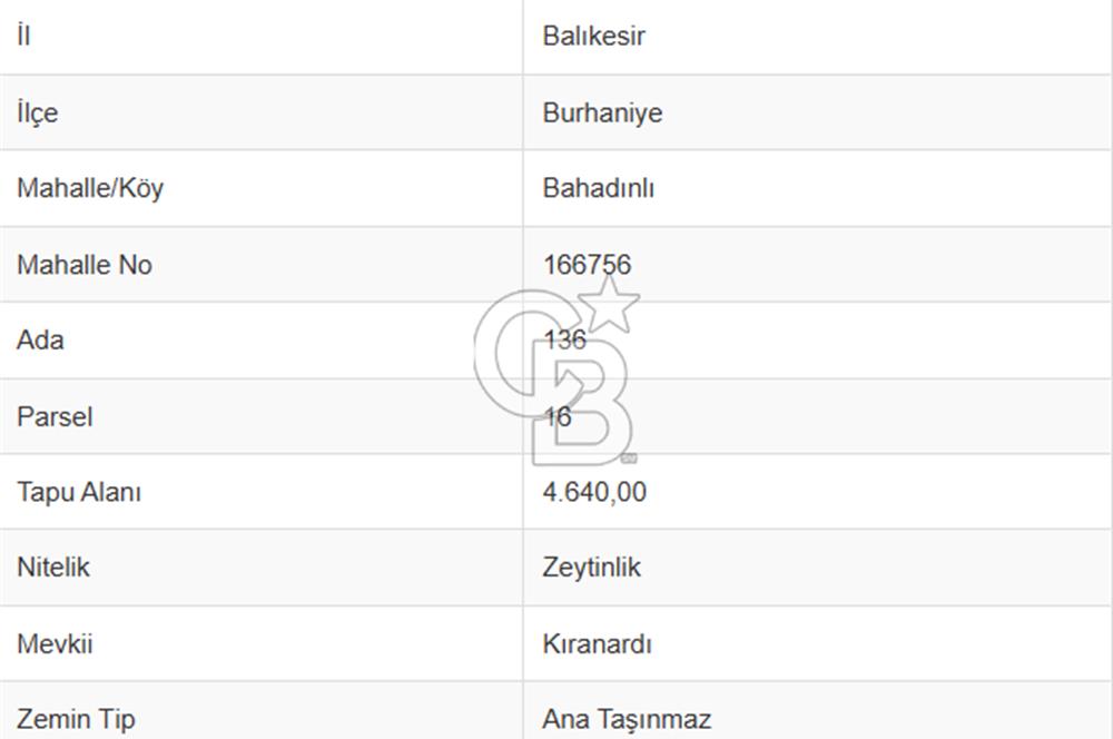 Burhaniye Bahadanlı`da satılık zeytinlik