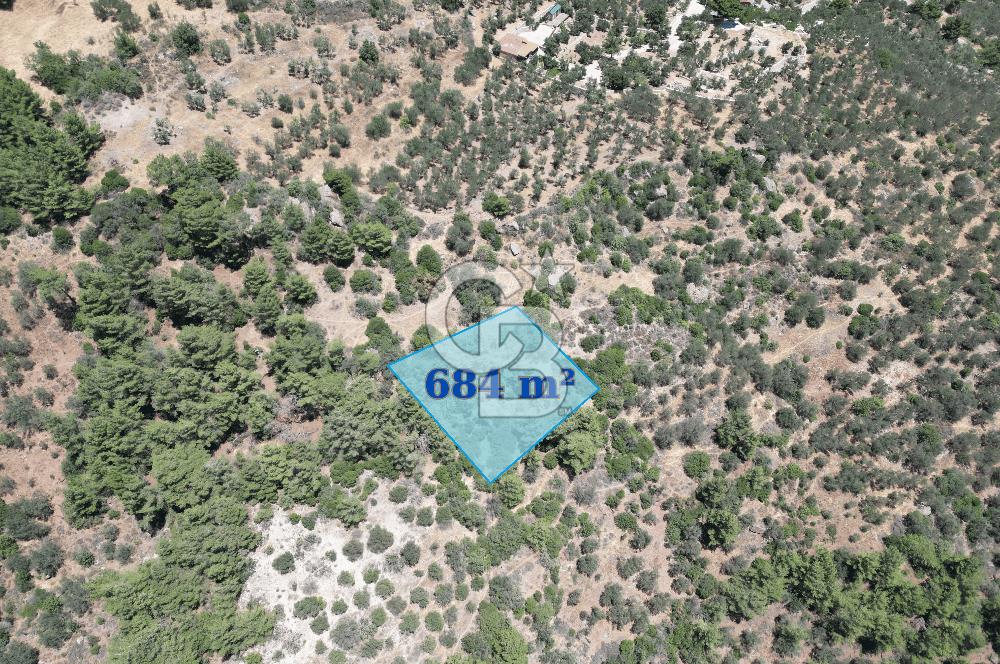 AYVACIK SAZLIDA MİDİLLİ MANZARALI 683 m² SATILIK ZEYTİNLİK