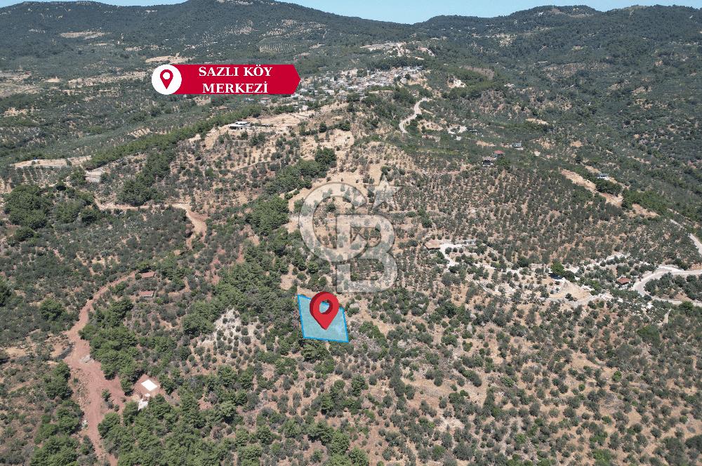 AYVACIK SAZLIDA MİDİLLİ MANZARALI 683 m² SATILIK ZEYTİNLİK