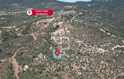 AYVACIK SAZLIDA MİDİLLİ MANZARALI 683 m² SATILIK ZEYTİNLİK