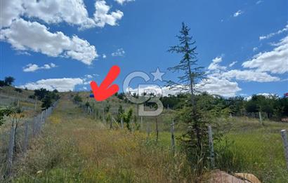 Cb Vizyon Tuğba ERKAL'dan İmarlı AlanaYakın Yatırıma Uygun Hisse