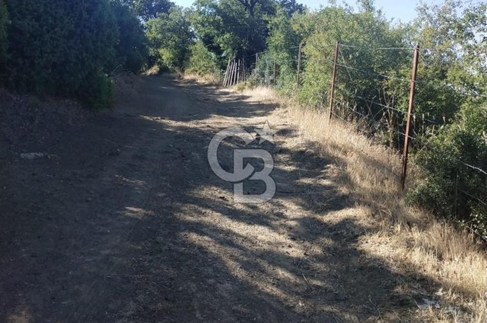 ÇANAKKALE LAPSEKİ KARAÖMERLER KÖYÜ SATILIK 5.3 DÖNÜM TARLA