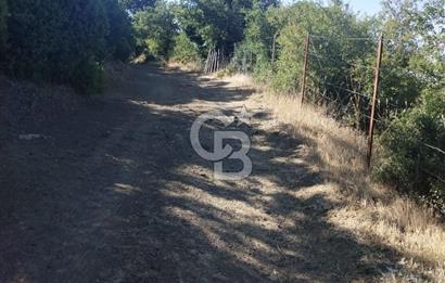 ÇANAKKALE LAPSEKİ KARAÖMERLER KÖYÜ SATILIK 5.3 DÖNÜM TARLA