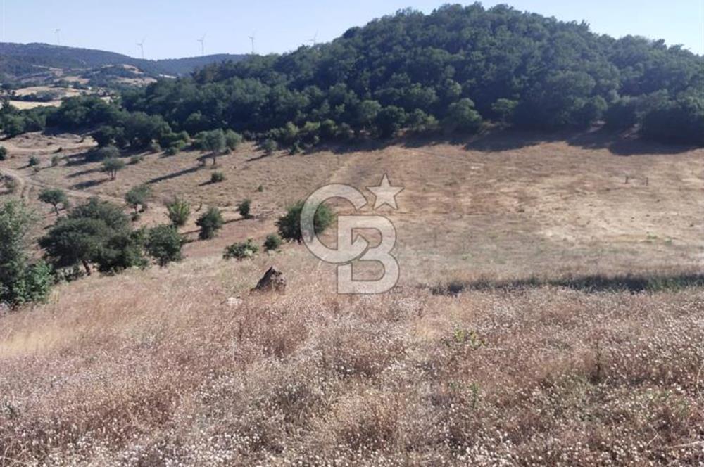 ÇANAKKALE LAPSEKİ KARAÖMERLER KÖYÜ SATILIK 5.3 DÖNÜM TARLA
