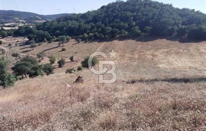 ÇANAKKALE LAPSEKİ KARAÖMERLER KÖYÜ SATILIK 5.3 DÖNÜM TARLA