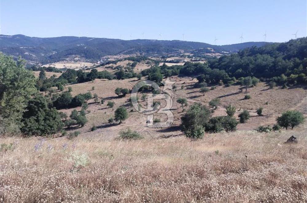 ÇANAKKALE LAPSEKİ KARAÖMERLER KÖYÜ SATILIK 5.3 DÖNÜM TARLA
