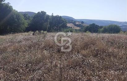 ÇANAKKALE LAPSEKİ KARAÖMERLER KÖYÜ SATILIK 5.3 DÖNÜM TARLA