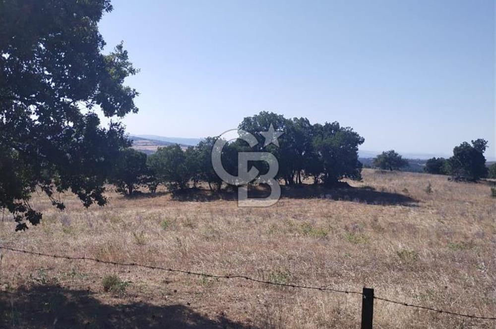 ÇANAKKALE LAPSEKİ KARAÖMERLER KÖYÜ SATILIK 5.3 DÖNÜM TARLA