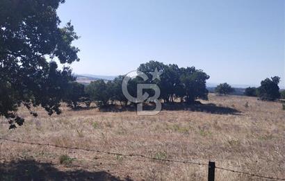ÇANAKKALE LAPSEKİ KARAÖMERLER KÖYÜ SATILIK 5.3 DÖNÜM TARLA