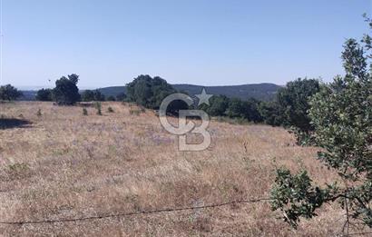 ÇANAKKALE LAPSEKİ KARAÖMERLER KÖYÜ SATILIK 5.3 DÖNÜM TARLA