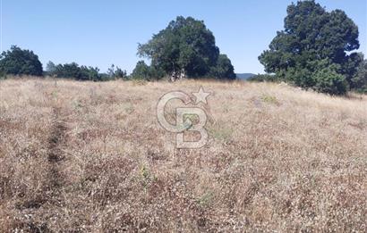 ÇANAKKALE LAPSEKİ KARAÖMERLER KÖYÜ SATILIK 5.3 DÖNÜM TARLA