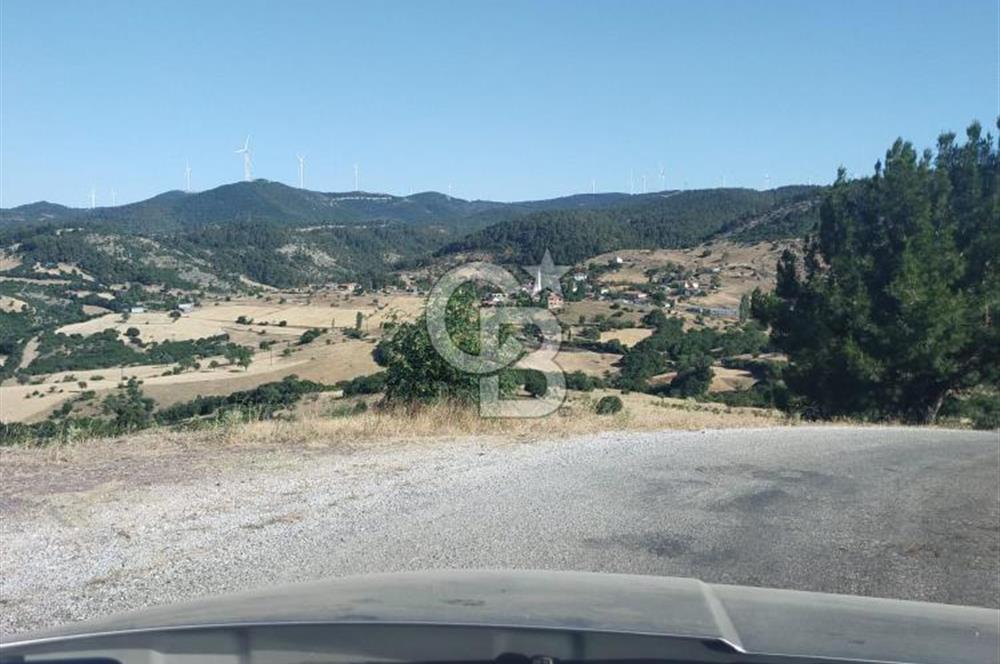 ÇANAKKALE LAPSEKİ KARAÖMERLER KÖYÜ SATILIK 5.3 DÖNÜM TARLA