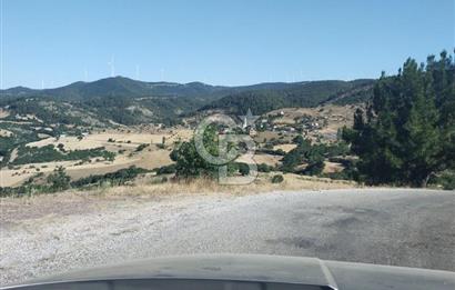 ÇANAKKALE LAPSEKİ KARAÖMERLER KÖYÜ SATILIK 5.3 DÖNÜM TARLA