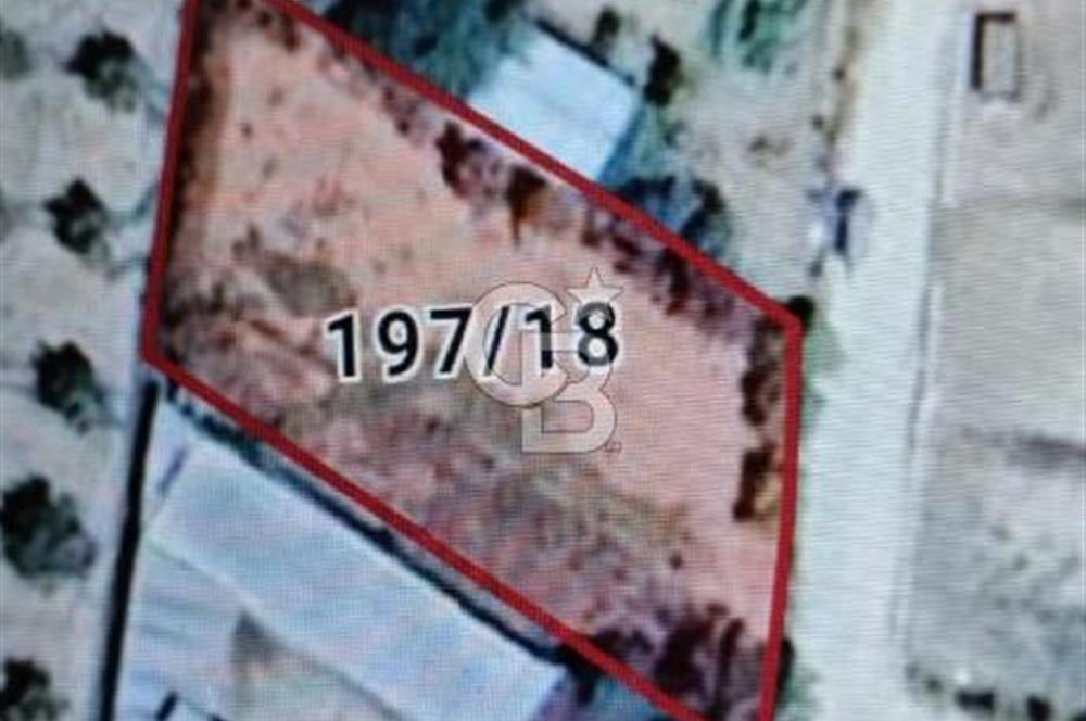 Bozkurt Çambaşı Mah. Satılık Arsa 