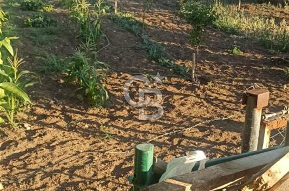 Bozkurt Çambaşı Mah. Satılık Arsa 
