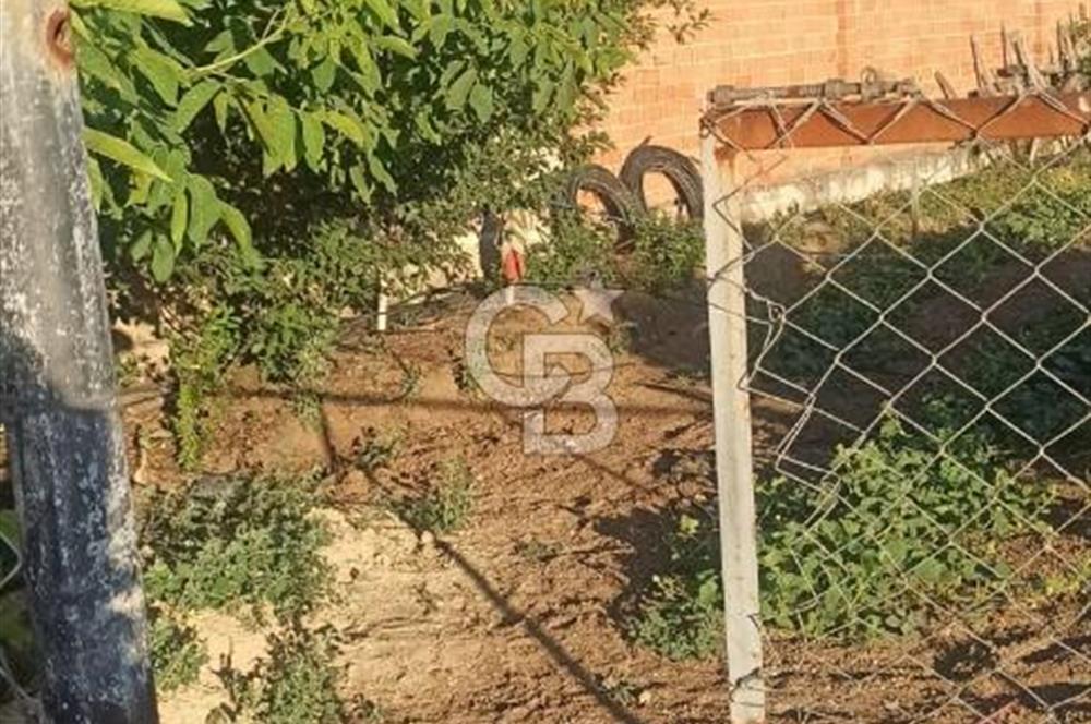 Bozkurt Çambaşı Mah. Satılık Arsa 