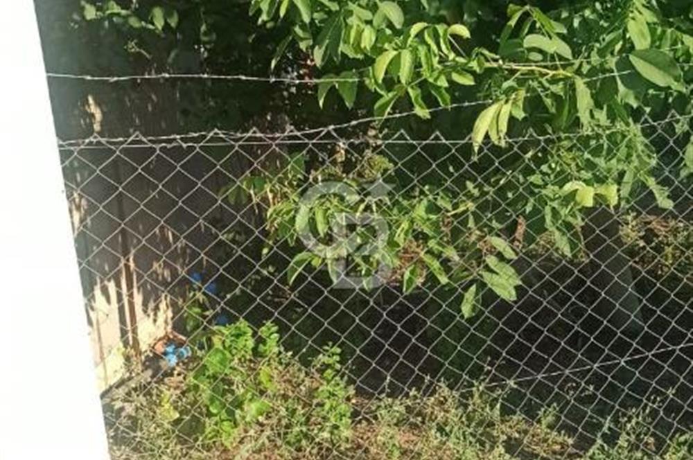 Bozkurt Çambaşı Mah. Satılık Arsa 