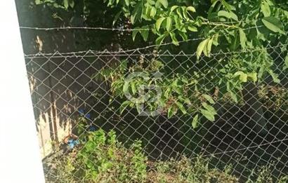 Bozkurt Çambaşı Mah. Satılık Arsa 